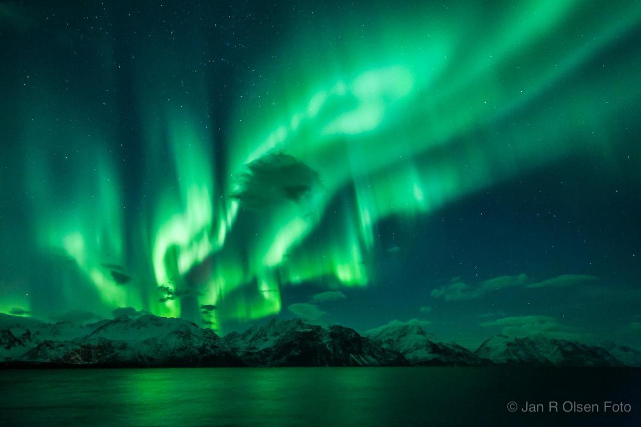 Lyngenfjord, Froyas Hus Villa Olderdalen ภายนอก รูปภาพ