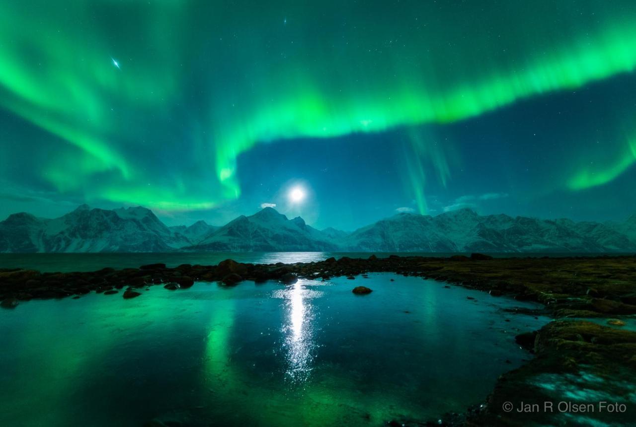 Lyngenfjord, Froyas Hus Villa Olderdalen ภายนอก รูปภาพ